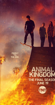 Animal Kingdom
